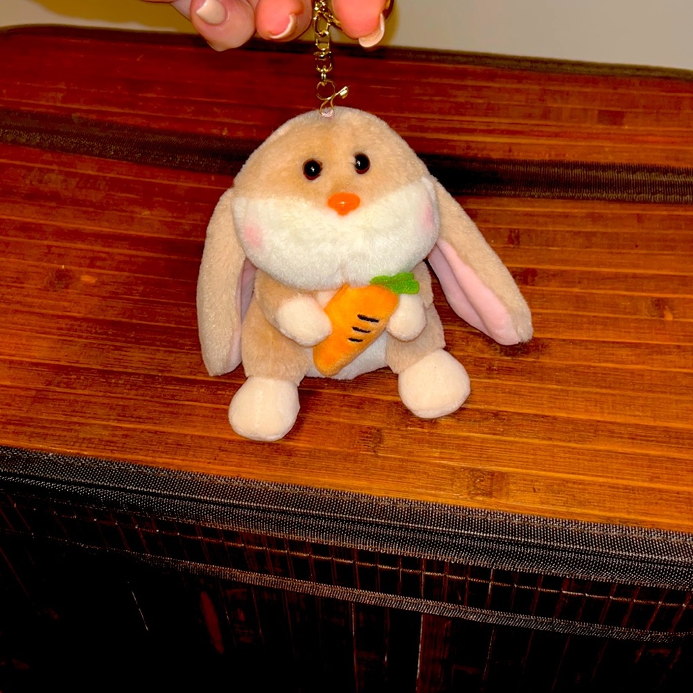 Plush toy carrot bunny keychain( super cute)
